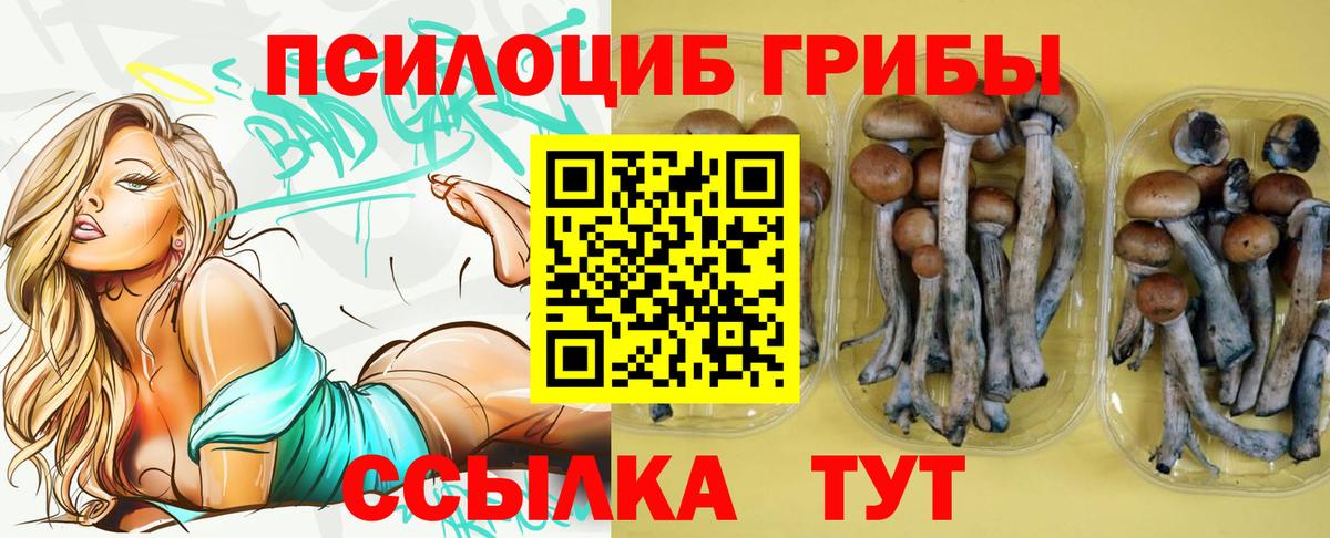 Галлюциногенные грибы Cubensis Феодосия