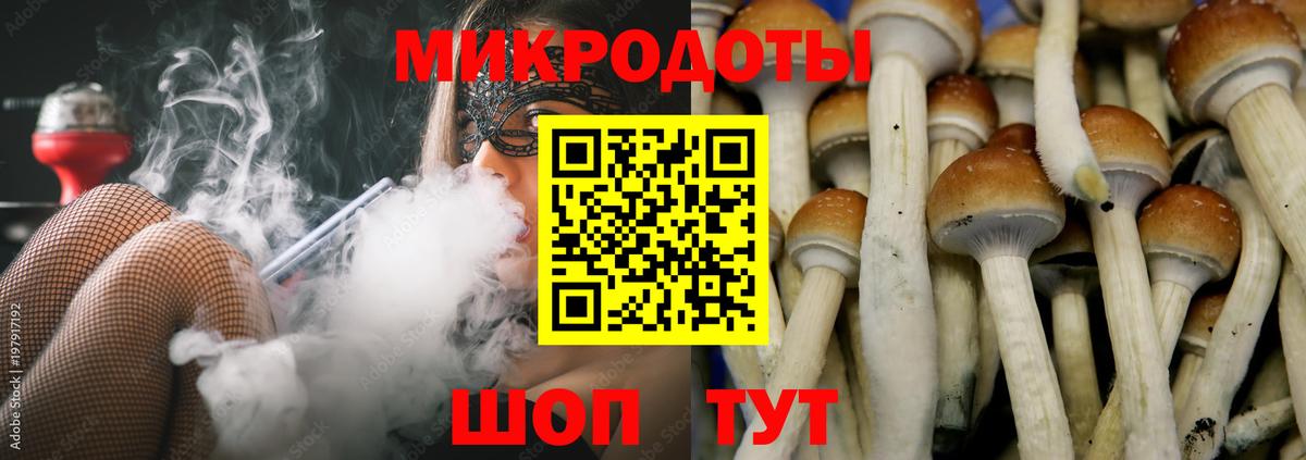 Галлюциногенные грибы Psilocybine cubensis  Вход с VPN  Феодосия  Галлюциногенные грибы Cubensis 